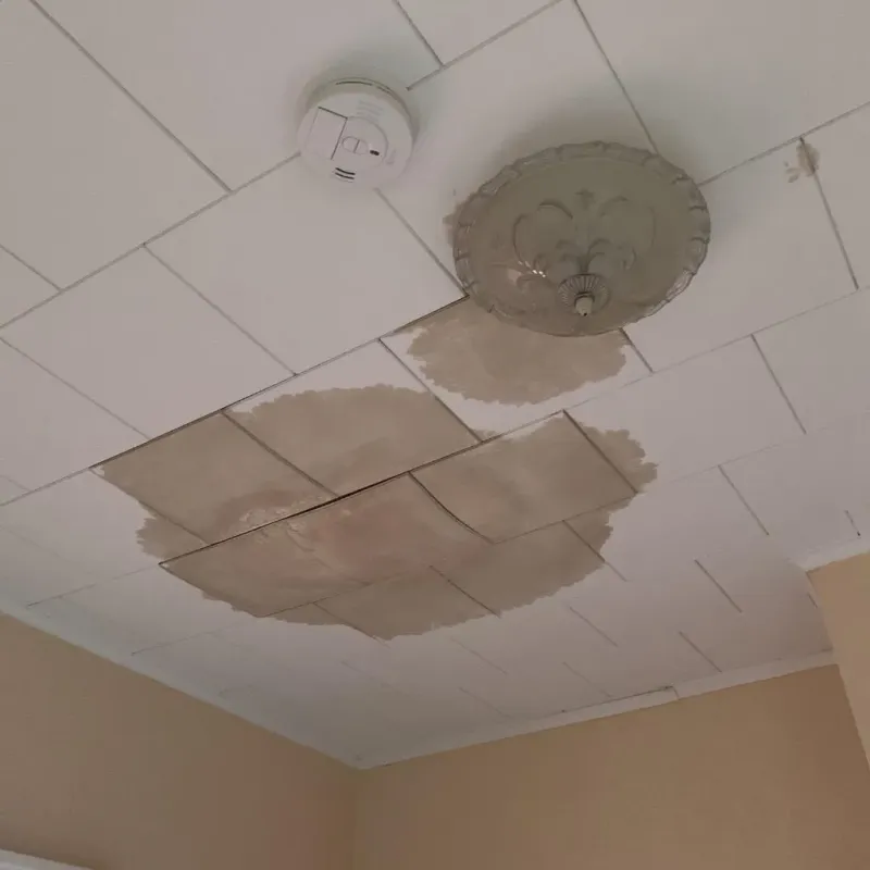 Ceiling Water Damage Repair in State Center, IA