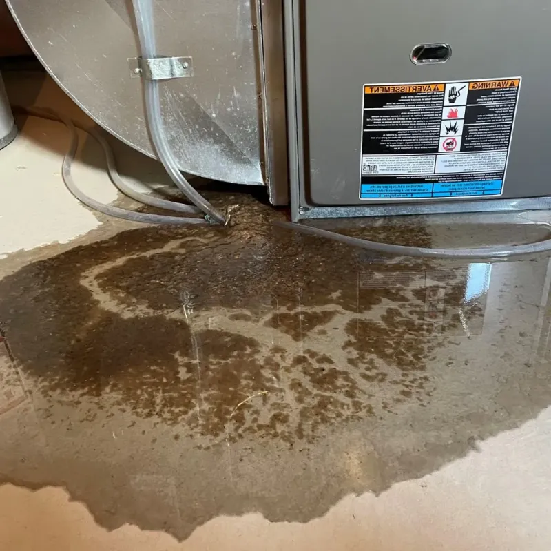 Pipe Burst and Leak Restoration in State Center, IA