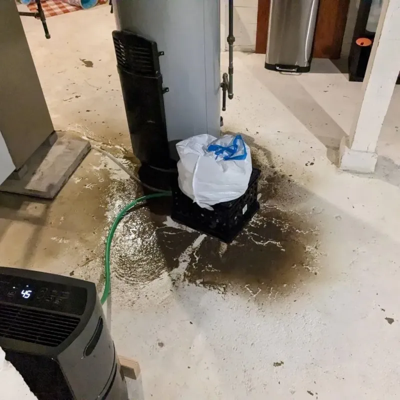 Sewage Backup Cleanup Service in State Center, IA